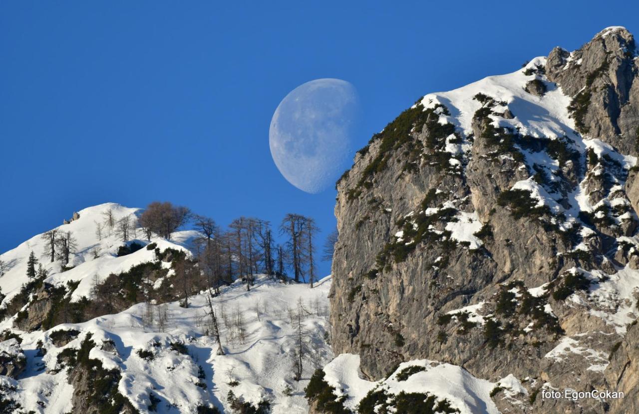 Mountain Charm Kranjska Gora Exterior foto